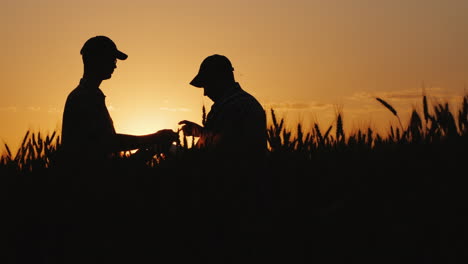 farmers sign contract on the field shake hands