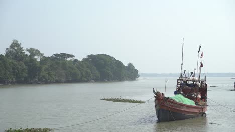 diversity of people's livelihoods in the ganga river basin most of the people live here by selling fish from the river