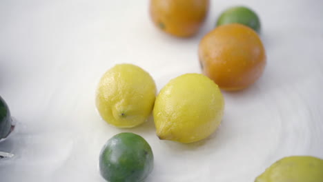 slomo of citrus in water on white backdrop