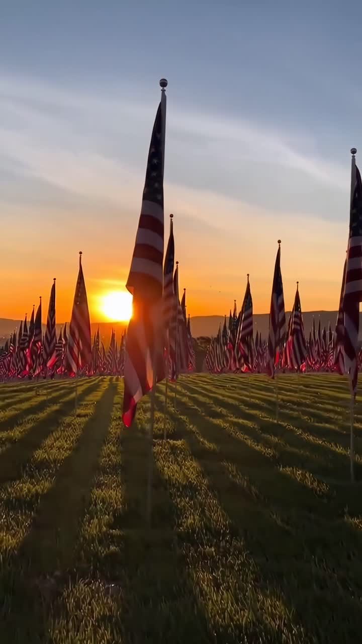 Low-angle video of American flags at sunset, casting long shadows on a grassy field