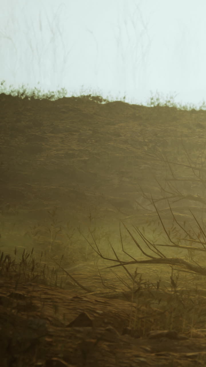 Wild landscape during sunny day with dry grass and distant hills