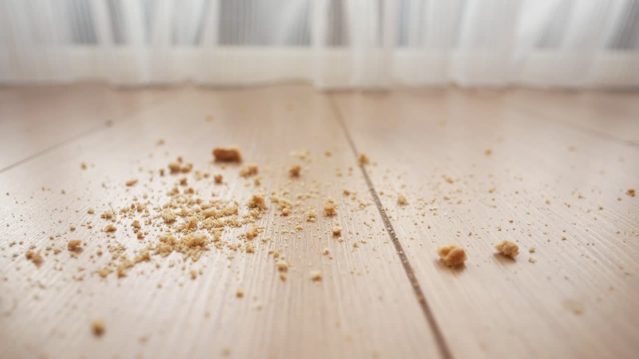 나무 바닥의 어리