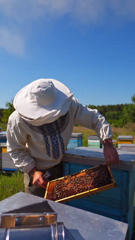 beekeeper in protective hat. apiarist inspects frame with bees and talks about their work. apiary in countryside. apiculture concept. vertical video