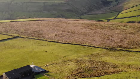 Colinas-Onduladas-En-El-Oeste-De-Yorkshire-Tiro-De-Dron-Con-Edificio-De-Granja