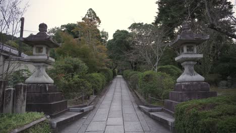 a serene alley in kyoto, lined with vibrant green foliage, offering a peaceful and refreshing escape that blends the beauty of nature with the charm of traditional japanese streets.