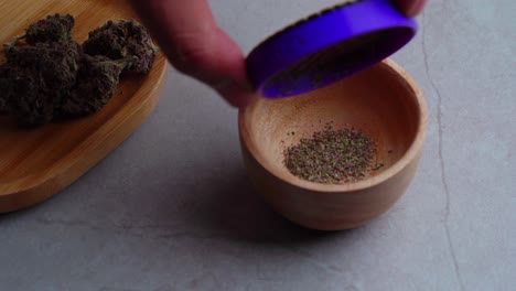 man pours grounded marijuana for a joint into bowl next to tray of cannabis buds