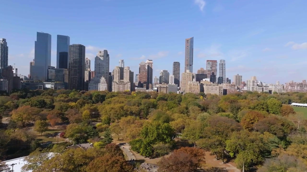 Drone che si alza sopra Central Park durante il picco del foliage, in una soleggiata giornata autunnale a New York.