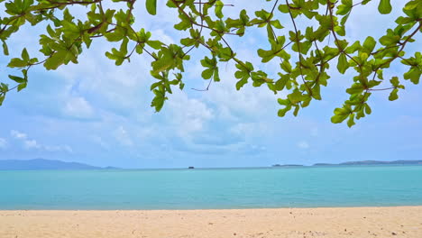 Una-Franja-De-Hojas-Enmarca-La-Playa-Dorada-Al-Borde-De-Una-Isla-Tropical