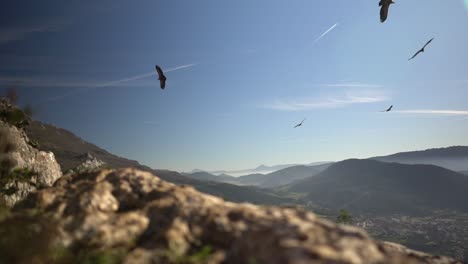 slow-motion footage of vultures or condors flying in circles around the slope of a mountain in navarra