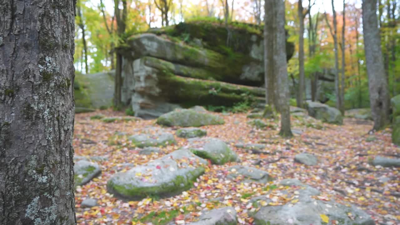 Thunder rocks boulders in Allegheny State Park forest, Western New York