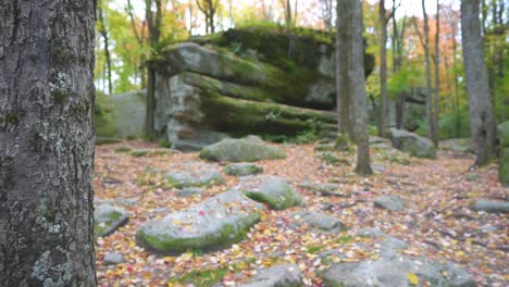 thunder rocks boulders in allegheny state park forest, western new york