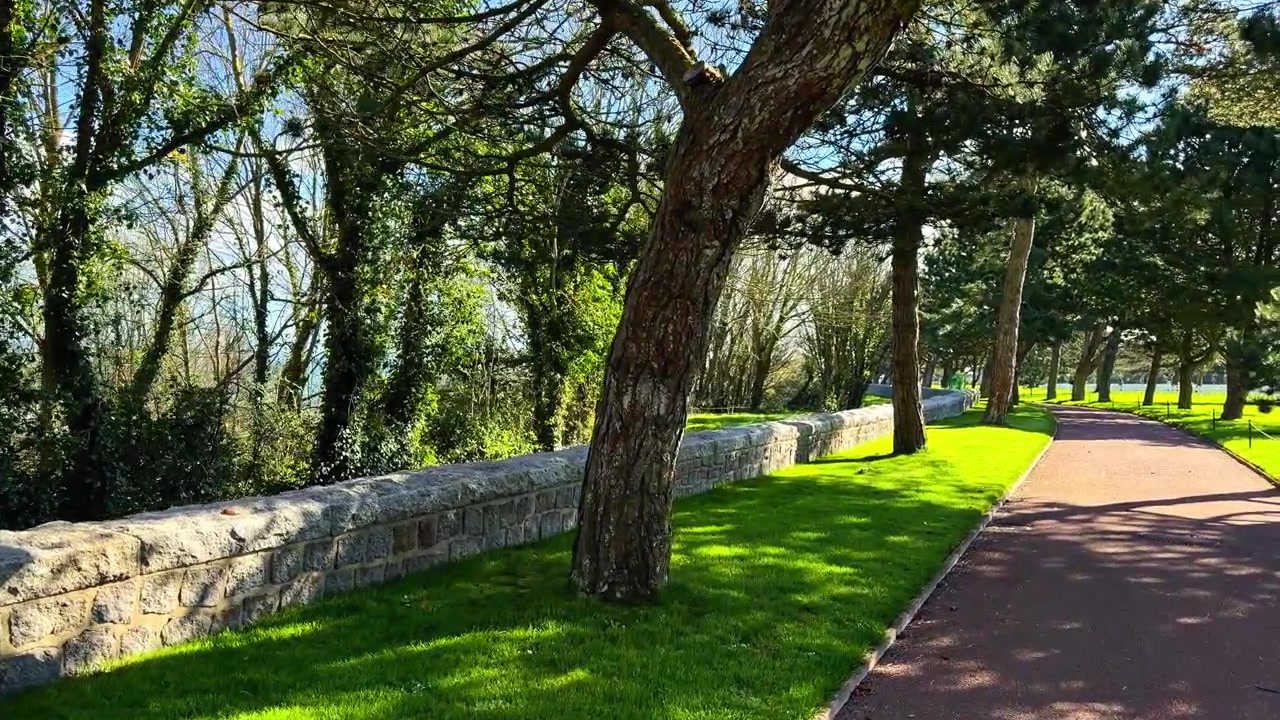 Un sentiero illuminato dal sole delimitato da alberi rigogliosi e un muro di pietra, che crea una scena vibrante. Perfetto per progetti paesaggistici o ambientazioni tranquille.