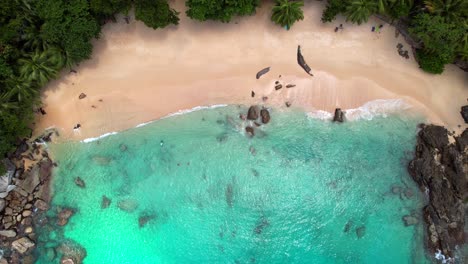 bird eye drone video of beautiful stunning white sandy beach, people enjoying the holidays, coconut palm trees, huge granite stones, turquoise transparent water and waves, mahe, seychelles 30fps