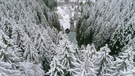 toma reveladora de un pequeño lago y una cabaña de madera a través de un bosque cubierto de nieve.