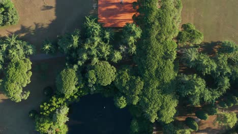 Revealing-Shot-Of-Red-Tennis-Court-Surrounded-With-Dense-Foliage-On-A-Sunny-Morning-In-Brijuni,-Croatia