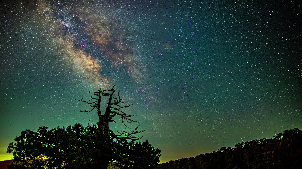 звезды и млечный путь появляются рядом с деревьями, граничащими с лесом, когда наступает рассвет.