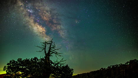 las estrellas y la vía láctea aparecen junto a los árboles que bordean el bosque al amanecer - timelapse