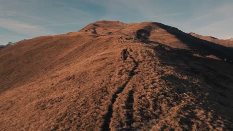follow shot from a hiker on a meadow in autumn during sunset
