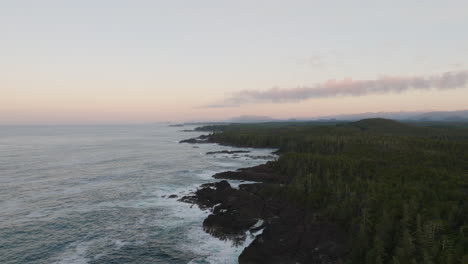 drone video at sunset in ucluelet british columbia, canada over the ocean and forest