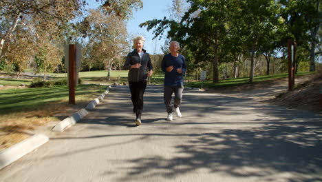 pareja de ancianos haciendo ejercicio con correr a través del parque