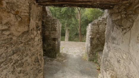 Ruinas-Mayas-En-Tikal-En-Guatemala