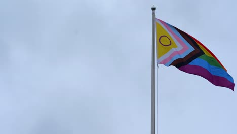 flag gently swaying in overcast weather