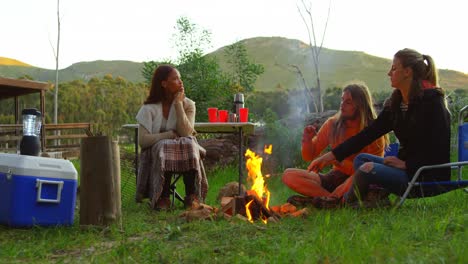 amigos interactuando entre sí cerca del fuego de campamento 4k
