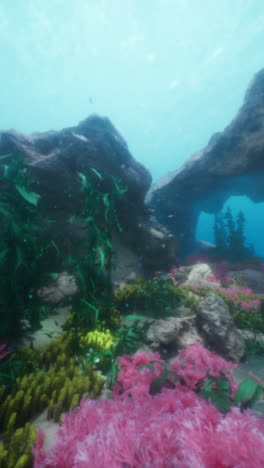 stunning underwater coral reef scene