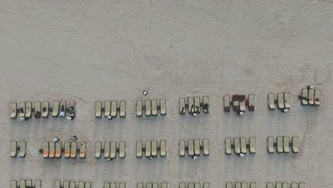 AERIAL-DIRECTLY-ABOVE-Palm-Trees-On-A-Tropical-Sand-Beach