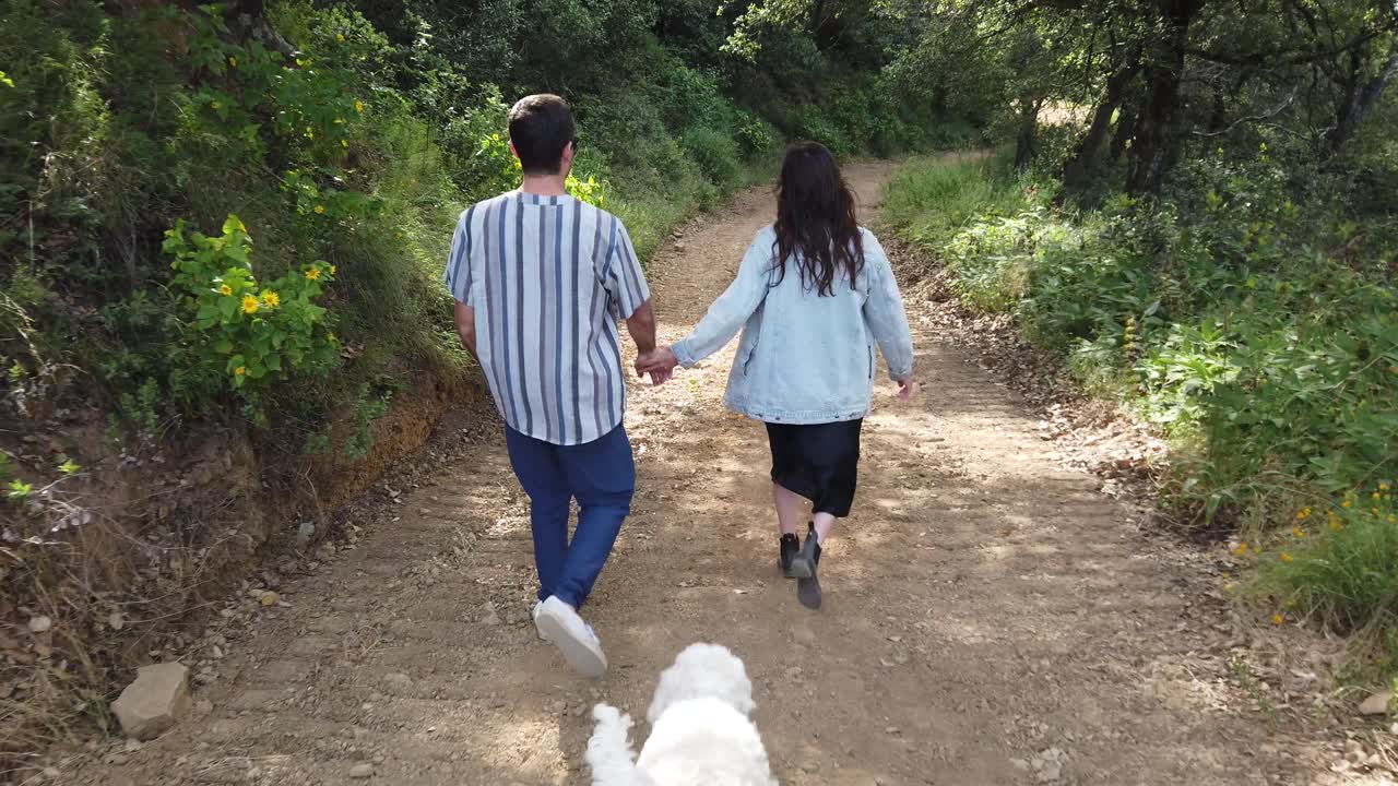 남자와 여자는 슬로우 모션으로 숲에서 개와 함께 손을 잡고 걷는다