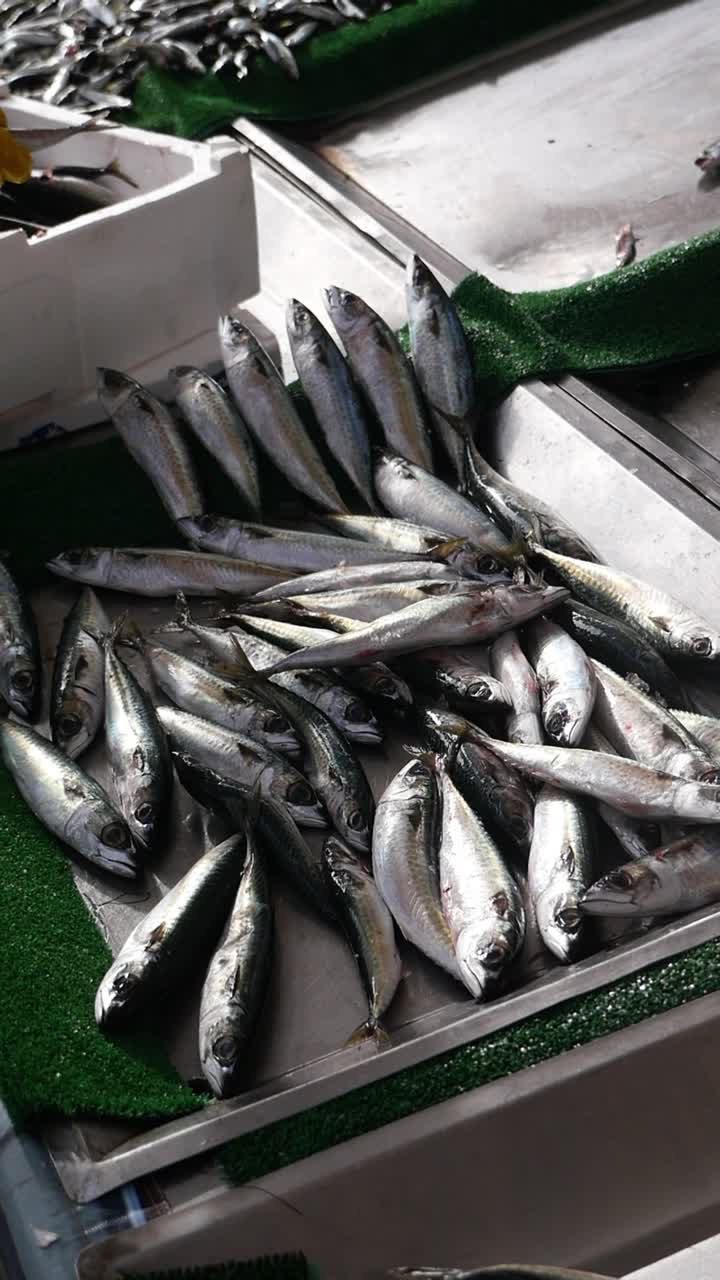 Hands in Yellow Gloves Arranging Fresh Fish at a Market