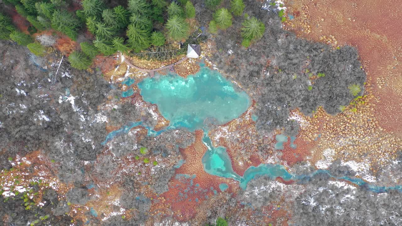 Zelenci natural reserve lake and forest, Kranjska Gora. Above aerial