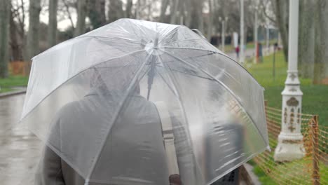 person walking with an umbrella in the rain