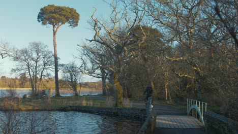 Man-cycles-by-river-shoreline-at-golden-hour-in-Winter