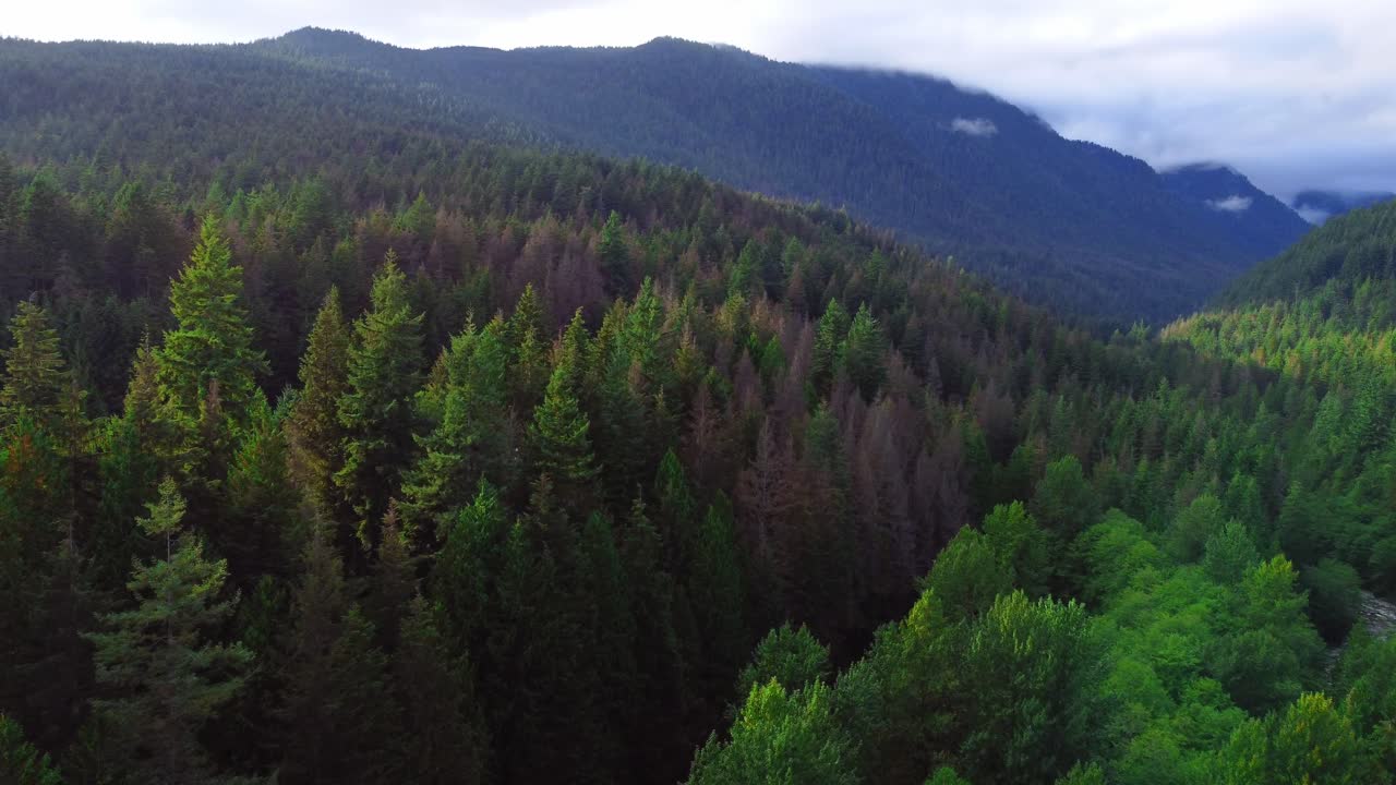 Le foreste e le montagne della Columbia Britannica in Canada, vicino a Vancouver, riprese con un drone vicino a un fiume.