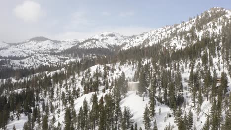 aerial 4k beautiful drone pan up a mountain with green pine trees in lake tahoe