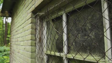 old abandoned building with a wired window