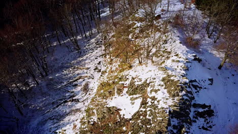 Vuelo-De-Drones-Sobre-Una-Roca-Volcánica-Entre-árboles