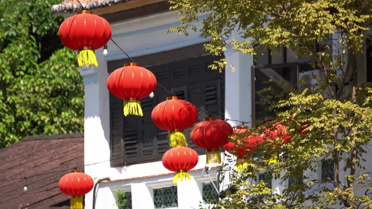 초록색 나무 근처의 빨간 등불