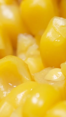 corn seeds rotate in a circle macro video corn seeds rotate in a circle macro video