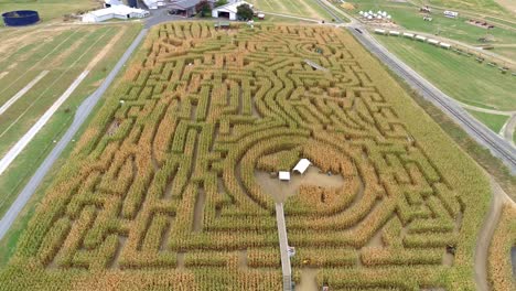 aerial view from above of a large corn maze in autumn going from low angle to above angle as seen by a drone