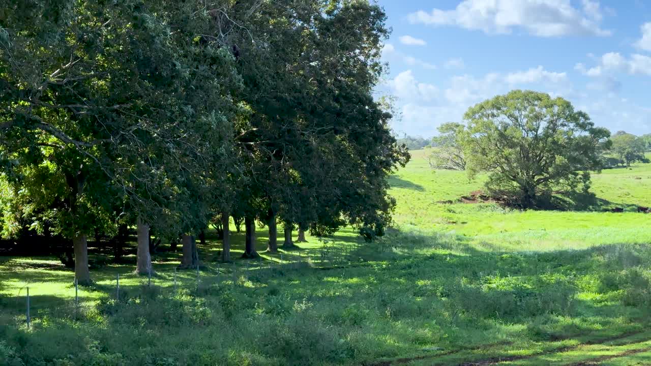 Camera glides smoothly across a sunlit, grassy field bordered by trees on a rural Australian farm, revealing open landscape and clear blue sky