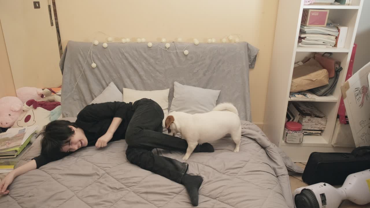 A girl is at home with her dog, a cute lively Jack Russell terrier trying to playfully hump her leg