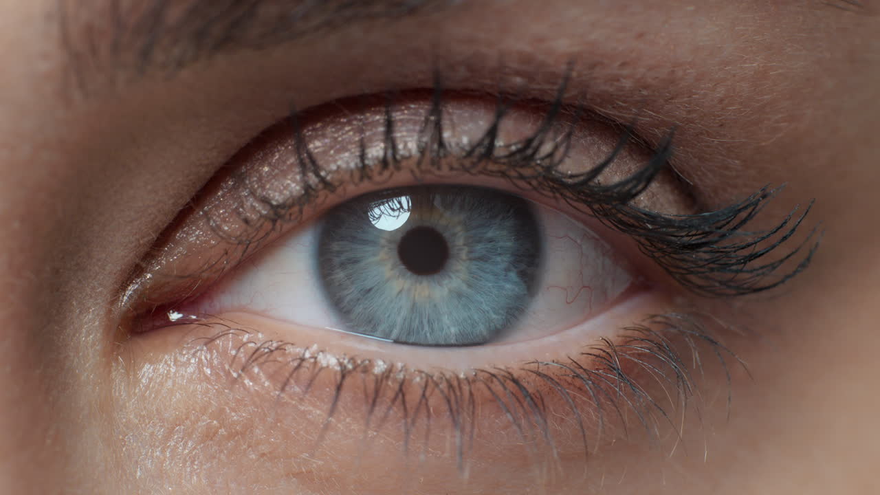 가까운 거시 눈 개방 인간 아이리스 아름다운 파란 눈 건강한 시력 인식 개념