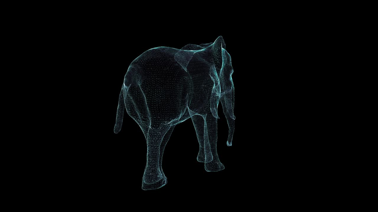코끼리 홀로그램 와이어 프레임: 흑색 배경에 좋은 3d 애니메이션과 미래 프로젝트에 대한 원활한 루프