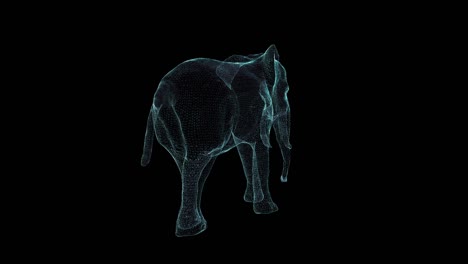 elephant hologram wireframe. nice 3d animation on a black background with a seamless loop for futuristics projects