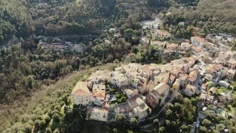 Casas-En-Medio-Del-Bosque