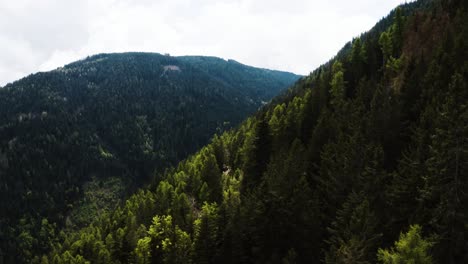 wide drone shot of trees filling italy's mountains