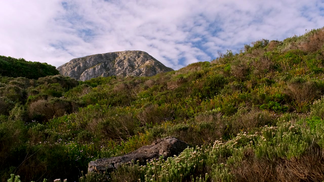 Vista su una duna coperta da fynbos costiero verso una cima di montagna contro il cielo