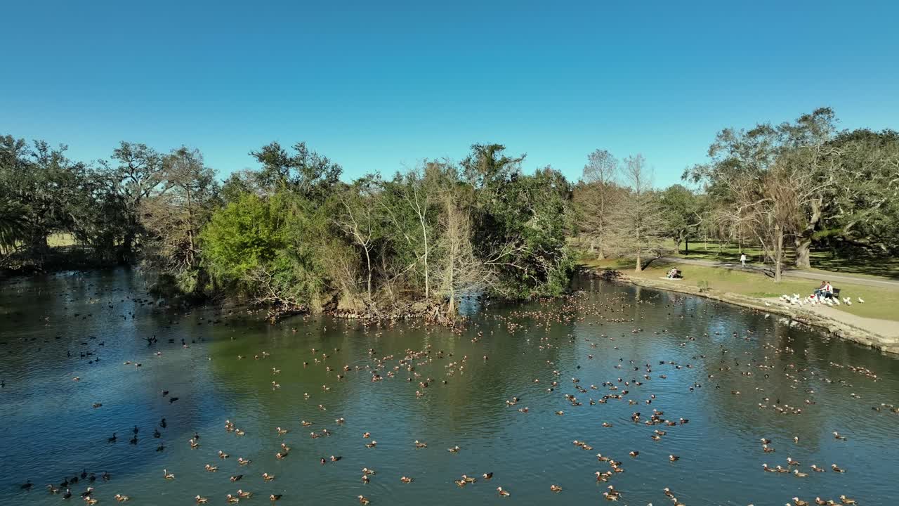 뉴올리언스 시를 배경으로 툴레인 대학교와 로욜라 인근